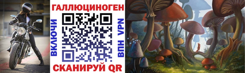 Купить закладки  Зея  Псилоцибиновые грибы мицелий 